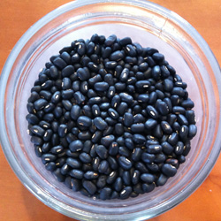 自然栽培黒小豆